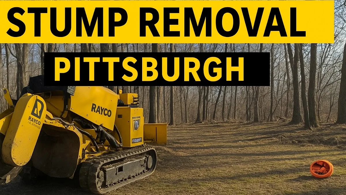 Stump Removal Pittsburgh