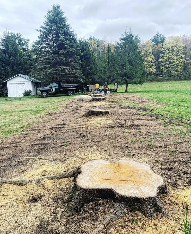 Stump Wrecker work site
