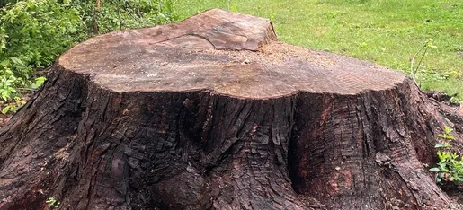 Stump Wrecker gallery 3
