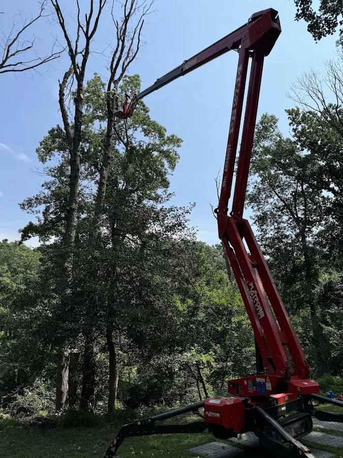 Suburban Tree Experts