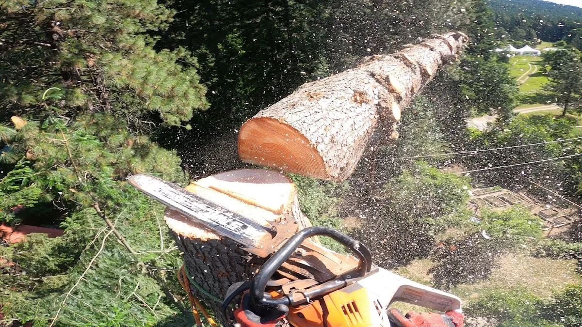 Summit Tree Care LLC gallery 2