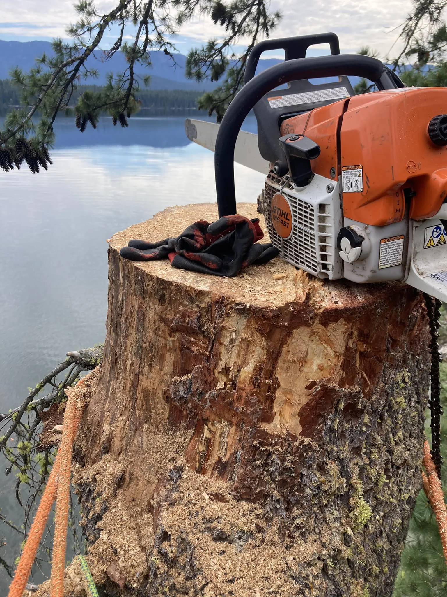 Summit Tree Care LLC gallery 3