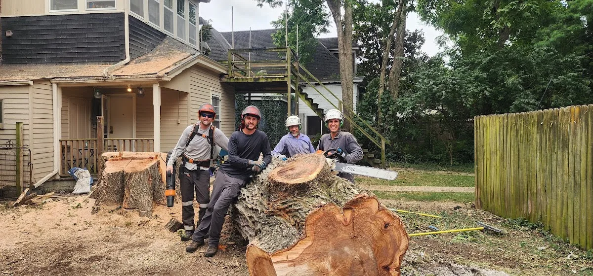Sure Notch Tree Service