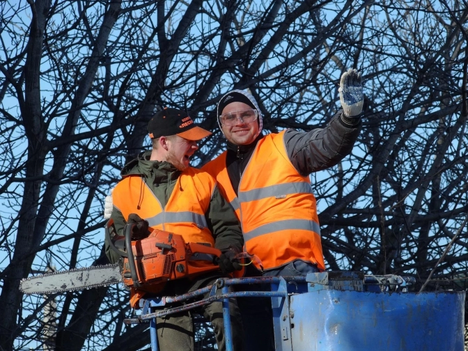 Syracuse Tree Service gallery 5