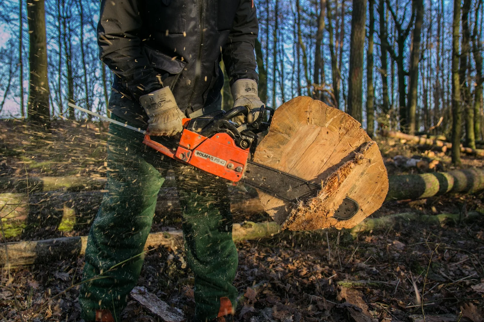 Syracuse Tree Service gallery 7