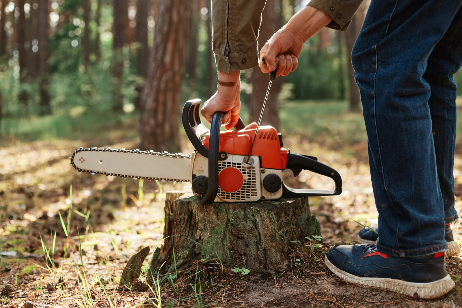 Syracuse Tree Service gallery 8