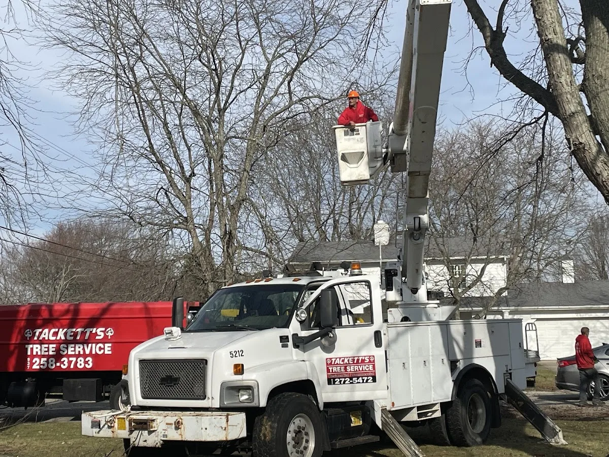 Tackett Tree Service gallery 2