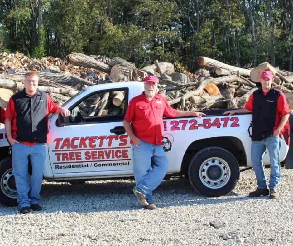 Tackett Tree Service gallery 6