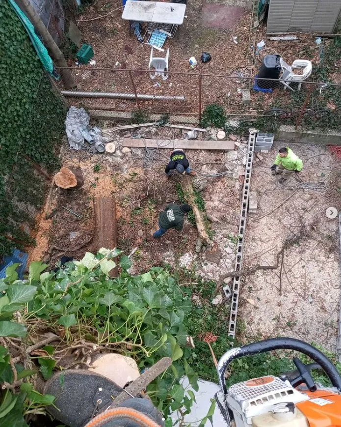 Tarzan Tree Removal, LLC gallery 8