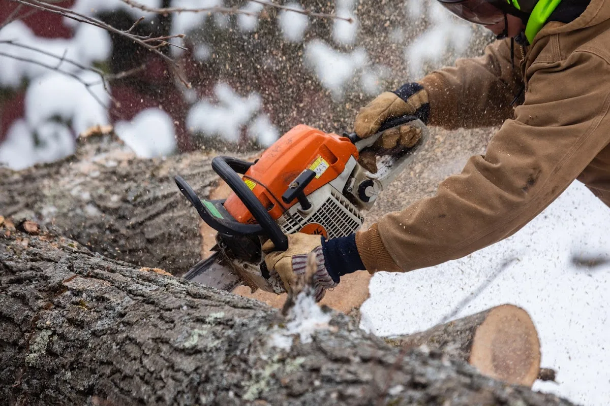 Teachers Tree Service