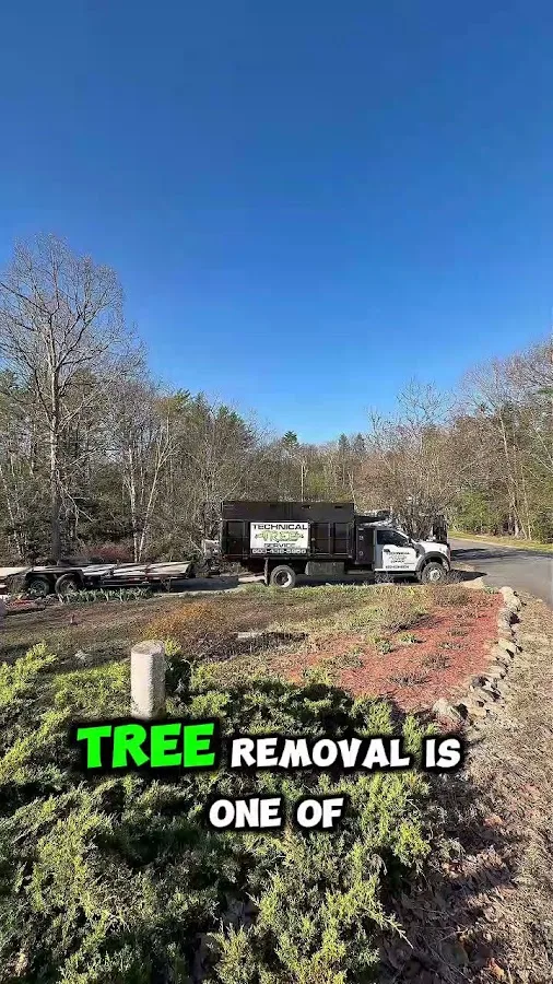 Technical Tree Service LLC in Goffstown: Make Storm Cleanup Scope Clear