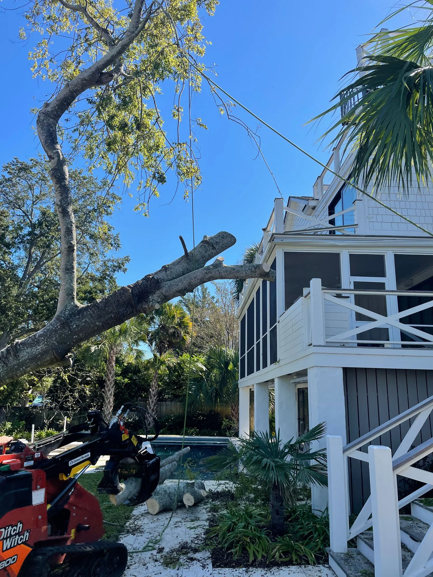 The Charleston Arborist gallery 4