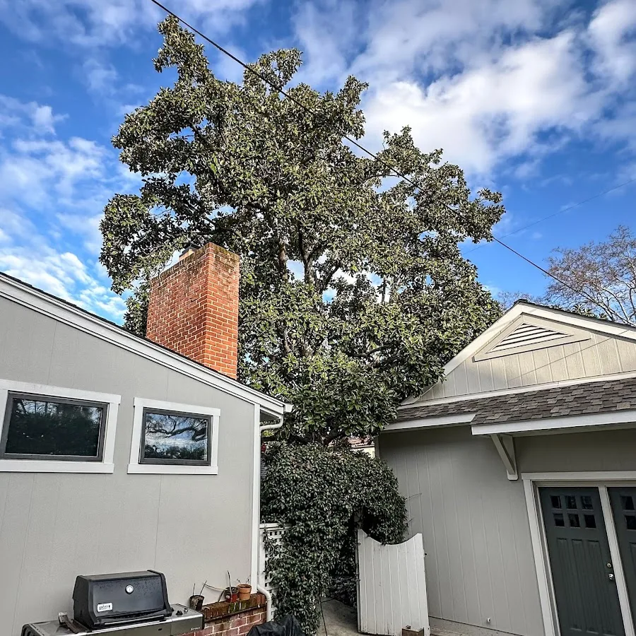 The Davey Tree Expert Company work site