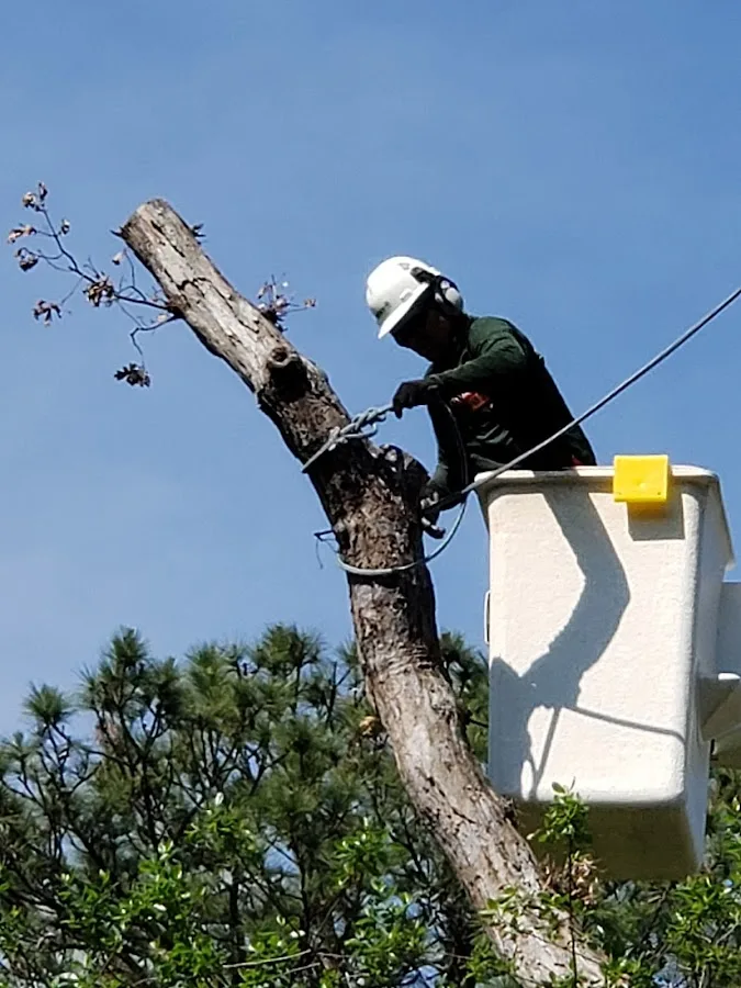 The Davey Tree Expert Company
