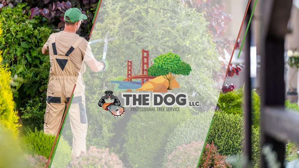 The Dog Tree Service LLC