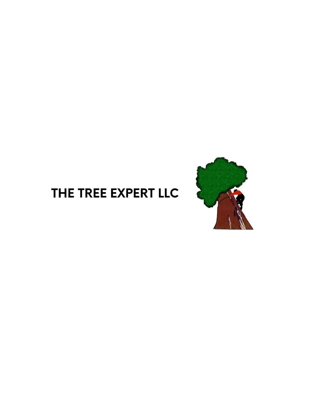 The Tree Expert, llc gallery 3