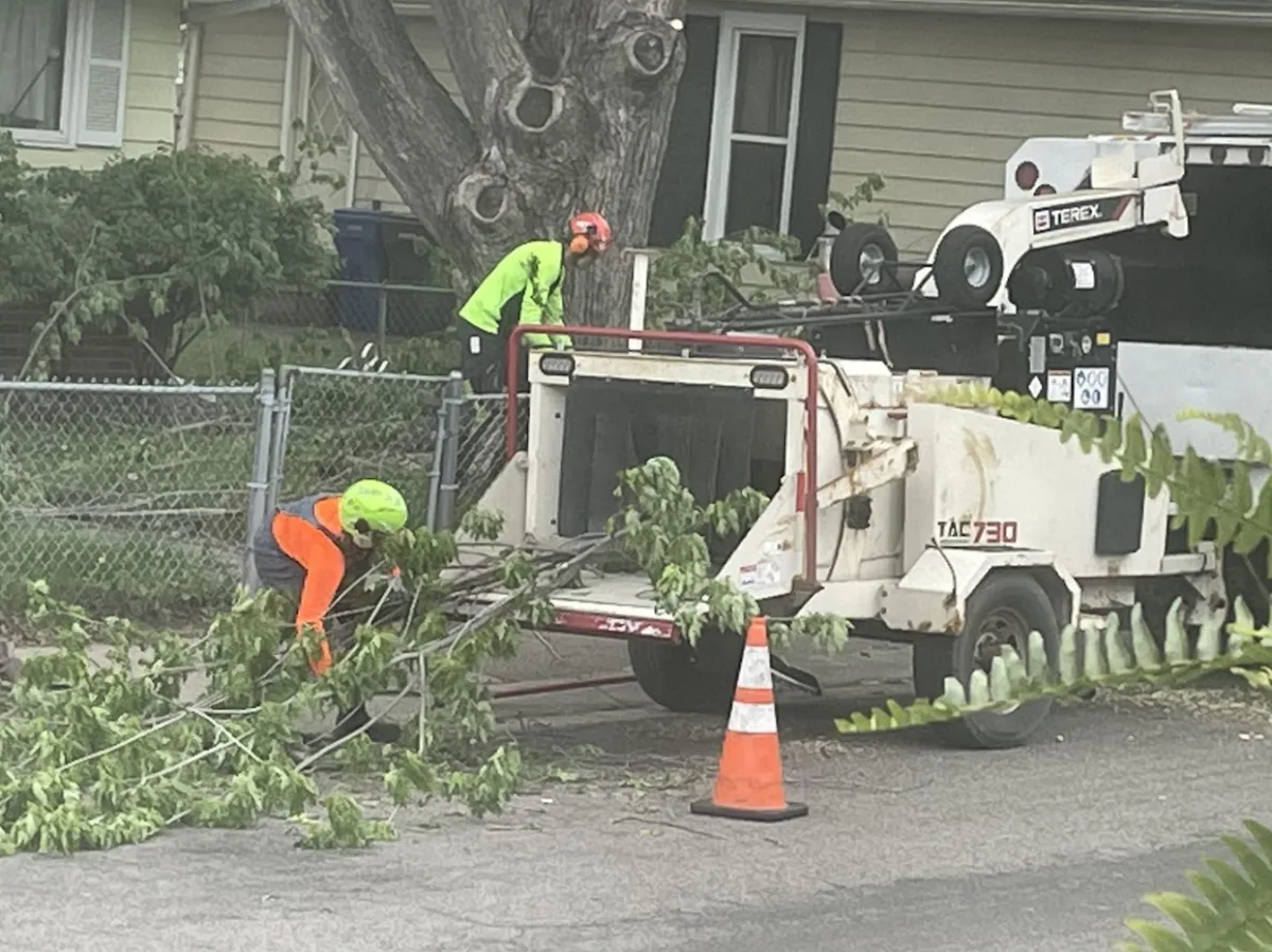 The Tree Removal Pros