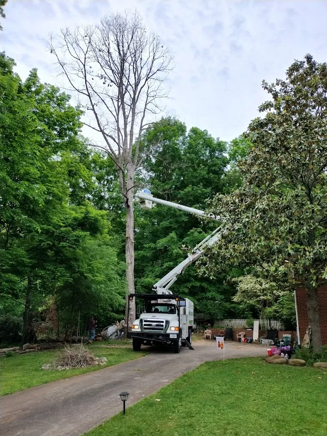 The Tree Service