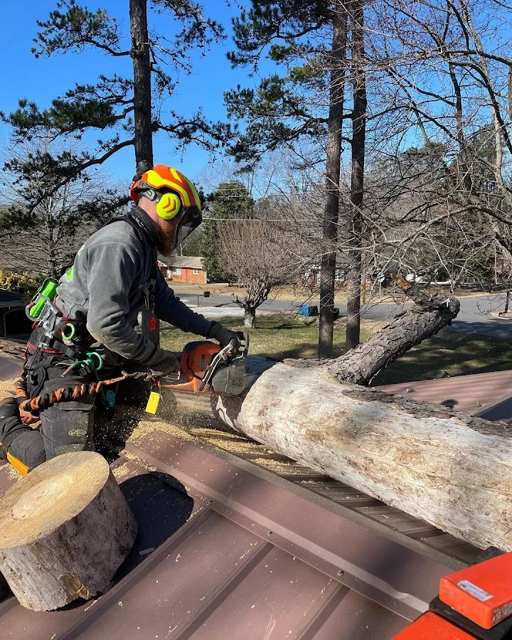Thrive Tree Service