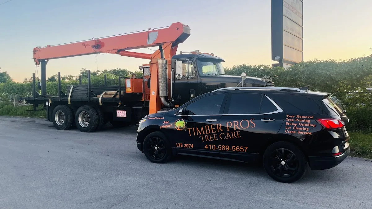 Timber Pros Tree Care LLC work site