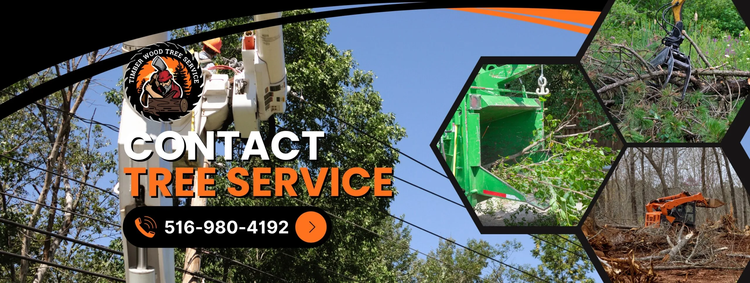 Timber Wood Tree Service gallery 3