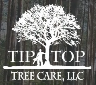 Tip Top Tree Care, LLC work site