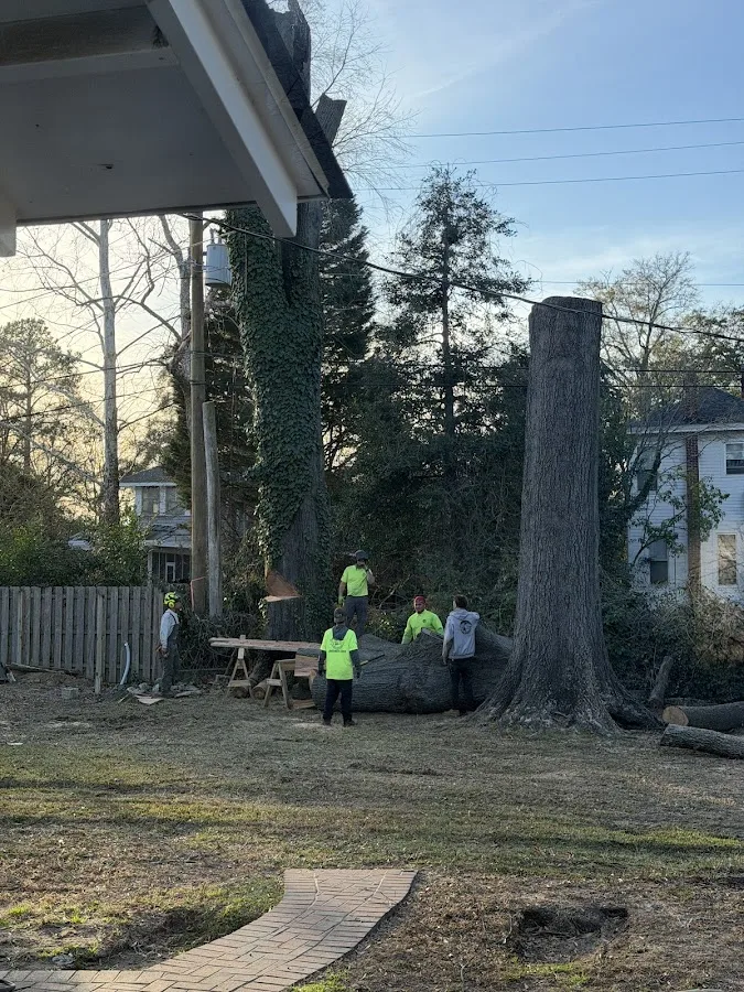Tip Top Tree Service of Midlands, LLC