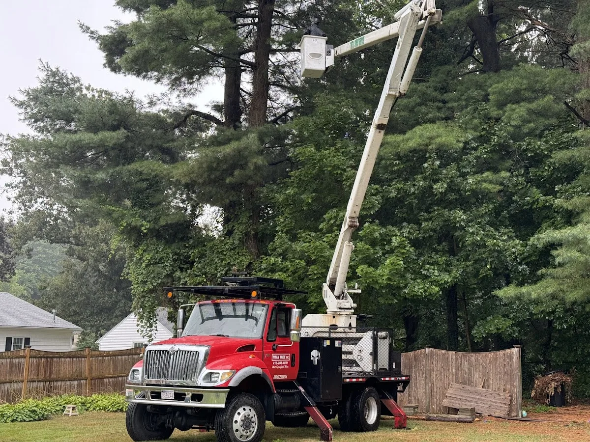 Titan Tree Inc. work site