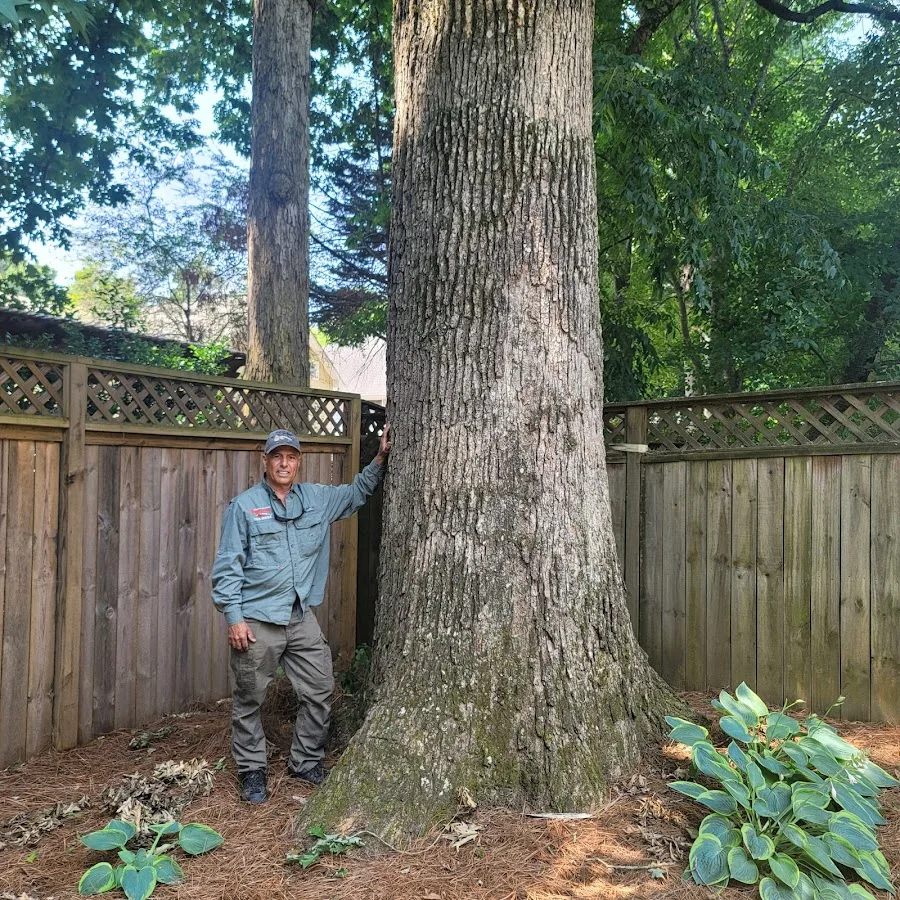 Tomahawk Tree Service