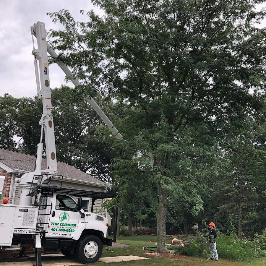Johnston, RI Tree & Stump Decision Guide: Top Climber Tree Service LLC’s Scope-Focused Checklist (No Surprises)