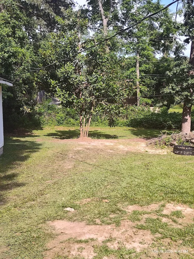 Top Cut Tree Service work site