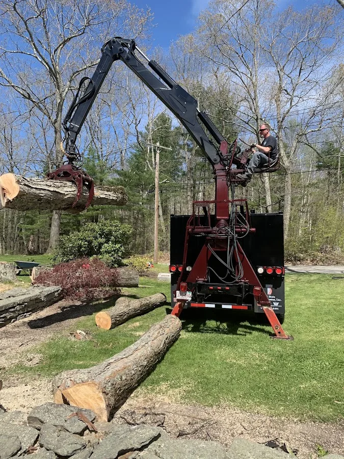 Top Notch Tree Services work site