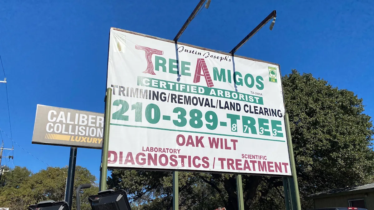 Tree Amigos Tree Service