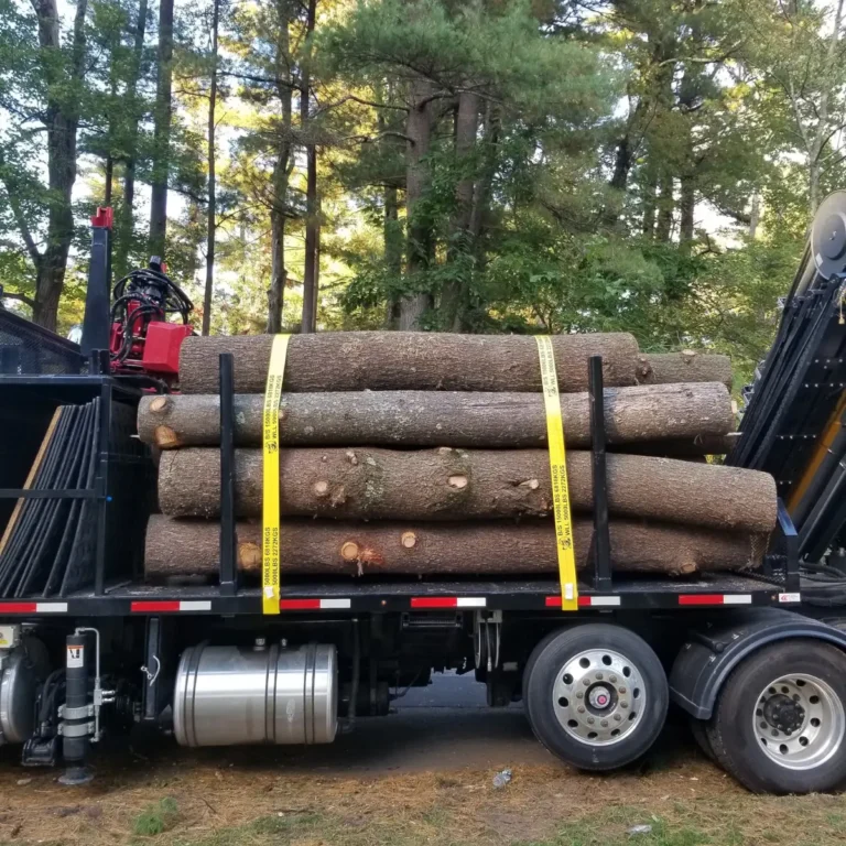 Tree and Stump Removal Service gallery 7