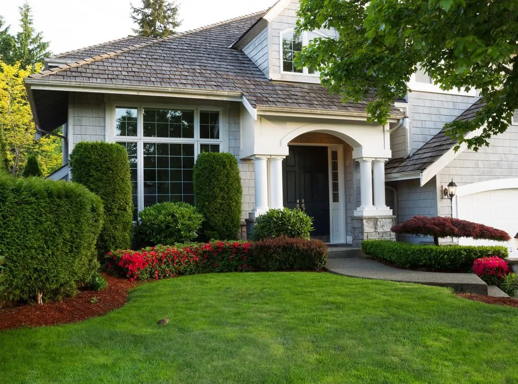 Tree And Yard Renovations gallery 3