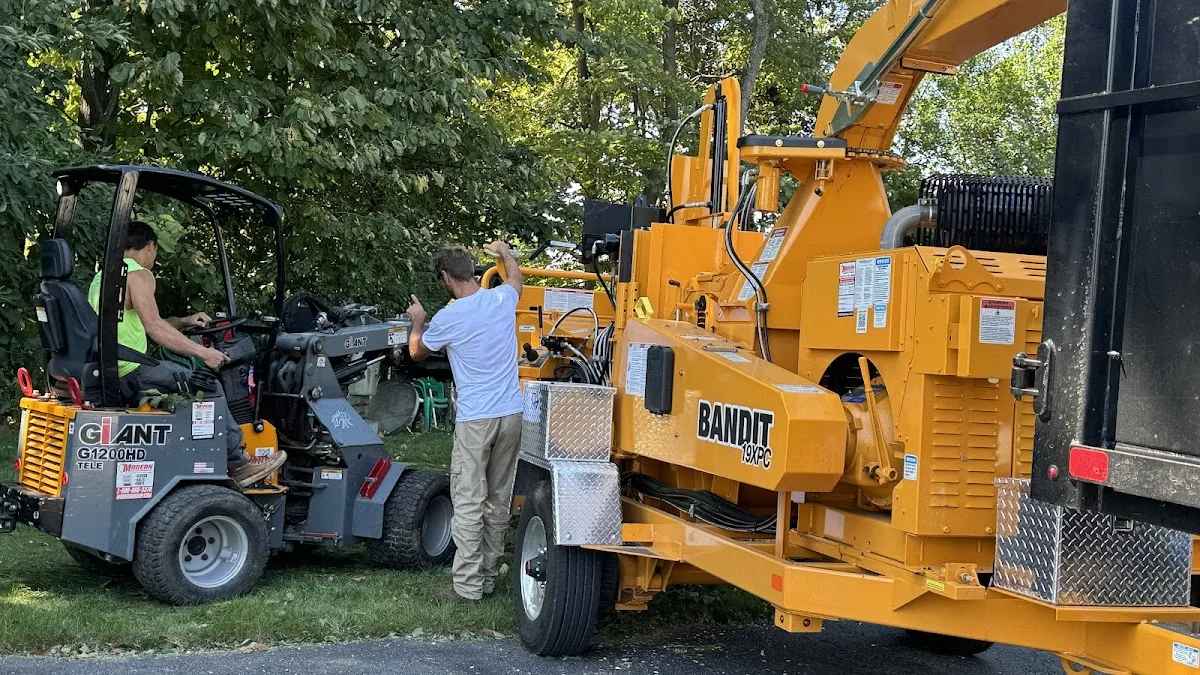 Tree Guy Now work site