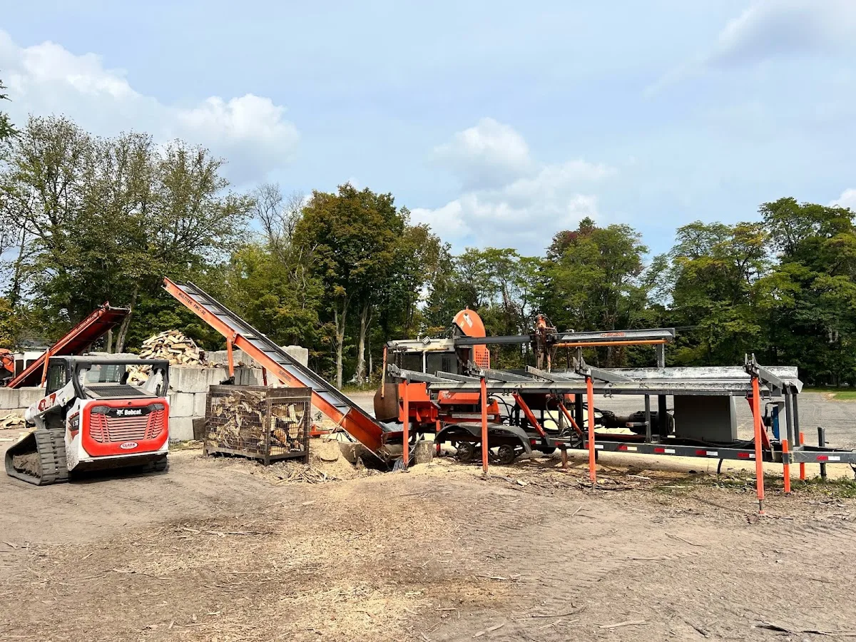 Tree Landers work site