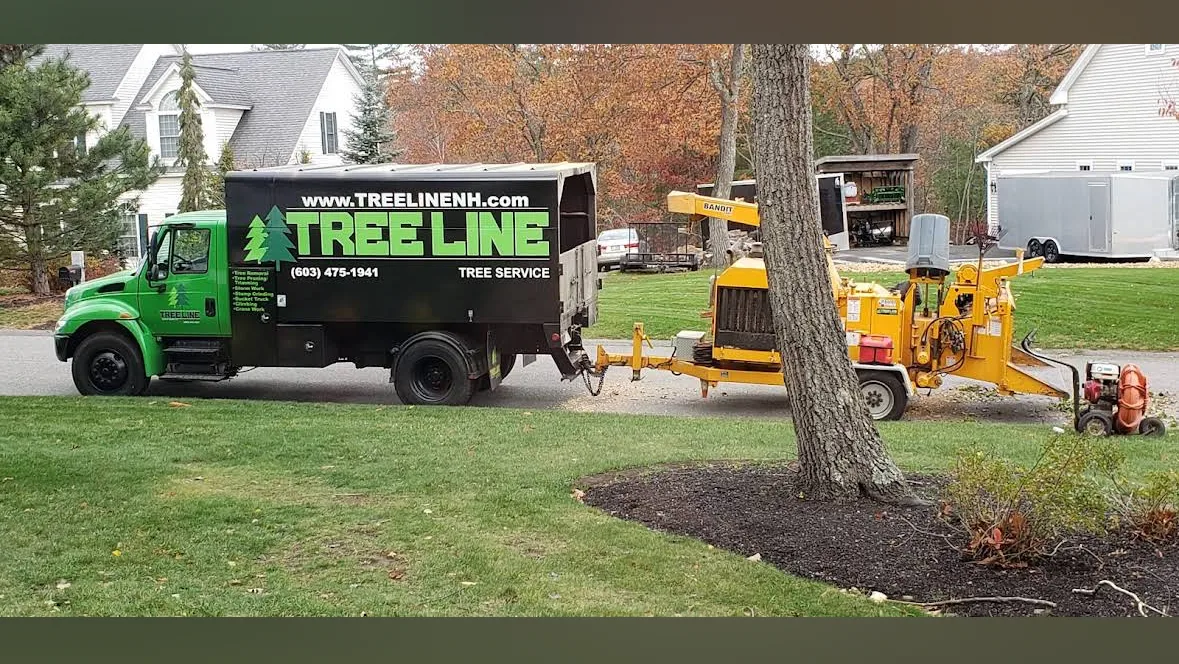 Tree Line Property Services in Derry: Separate Storm Cleanup From Long-Term Tree Care