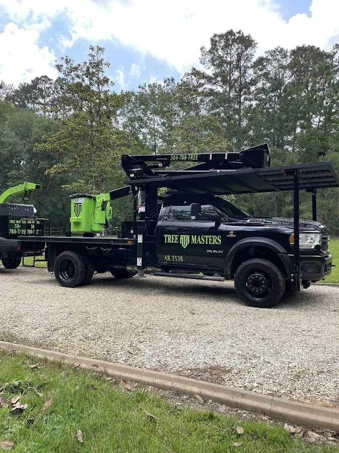 Tree Masters