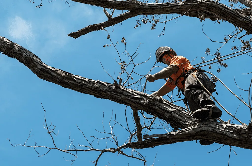 Tree-Mendous Tree Service