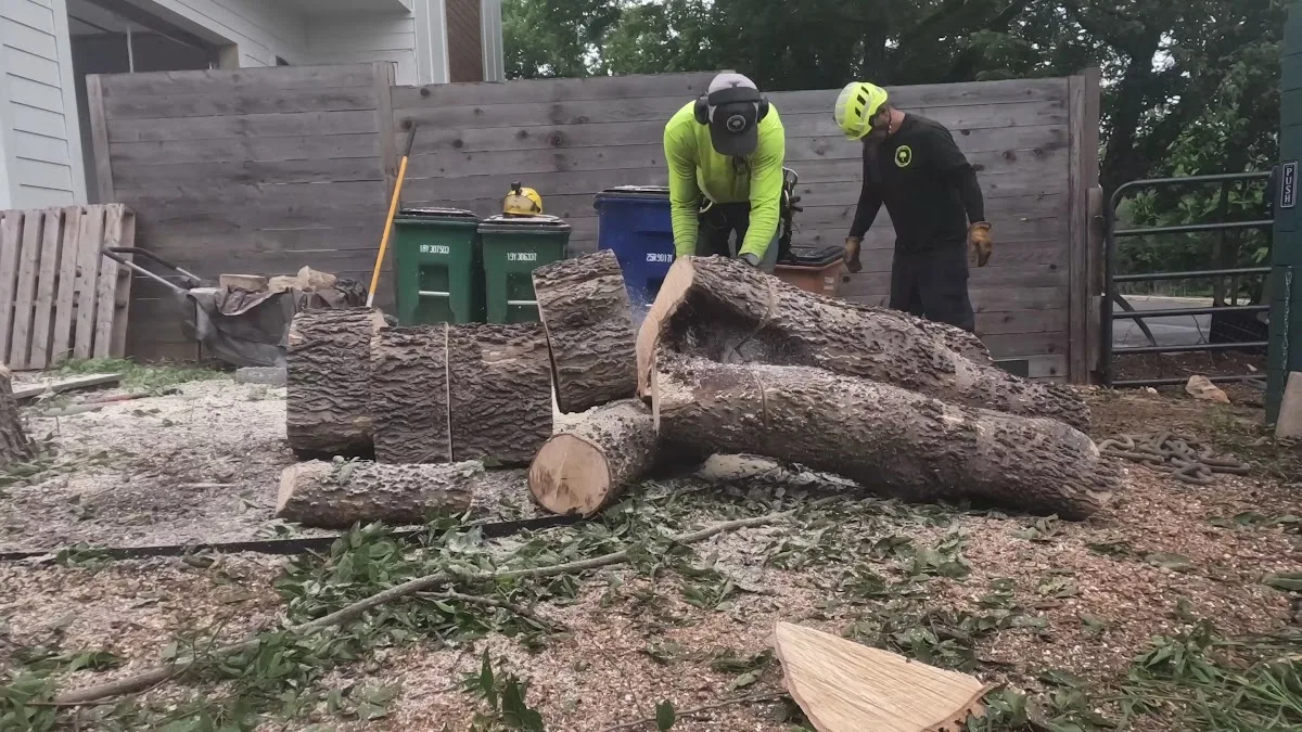 Tree Service & Consulting LLC