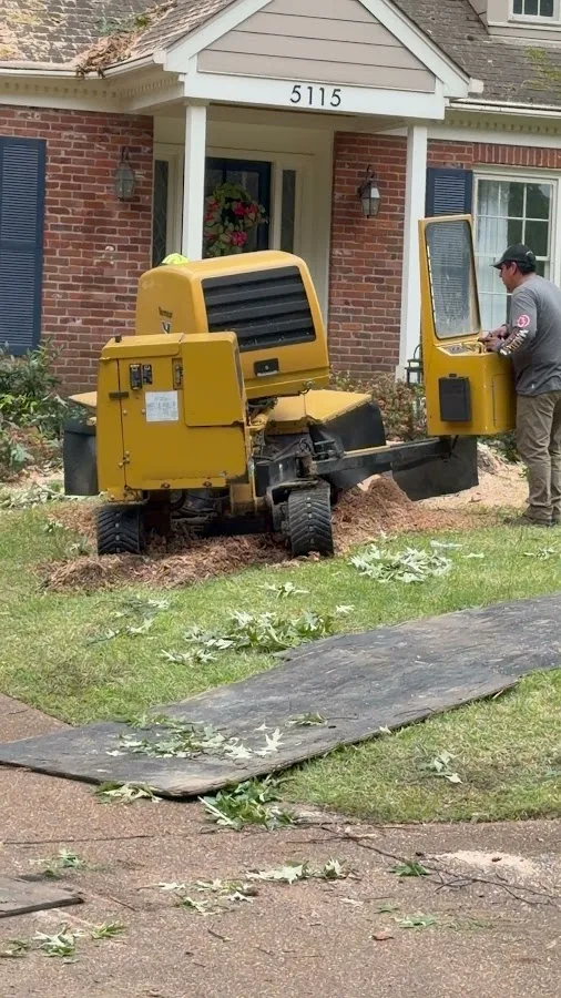 Tree service Memphis TN