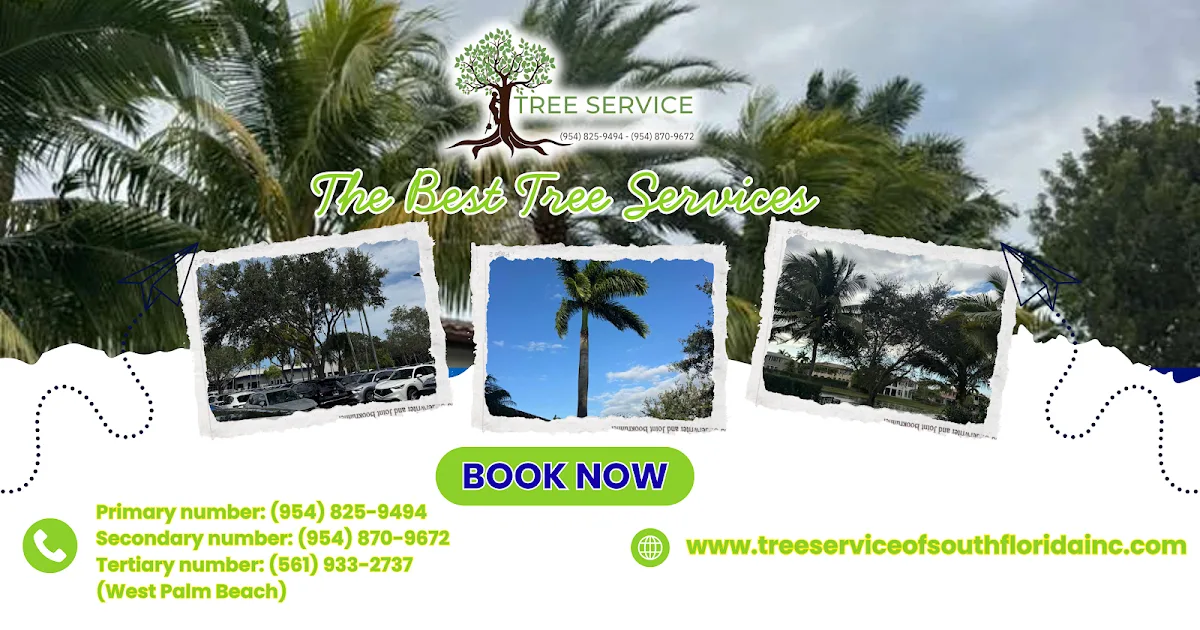 Tree Service of South Florida INC work site