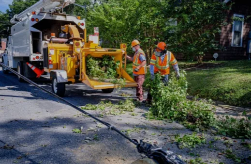 Tree service pro Fort Wayne gallery 2