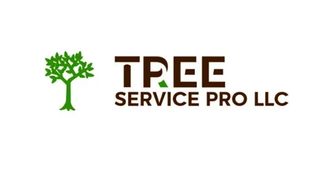 Tree service pro Fort Wayne gallery 5