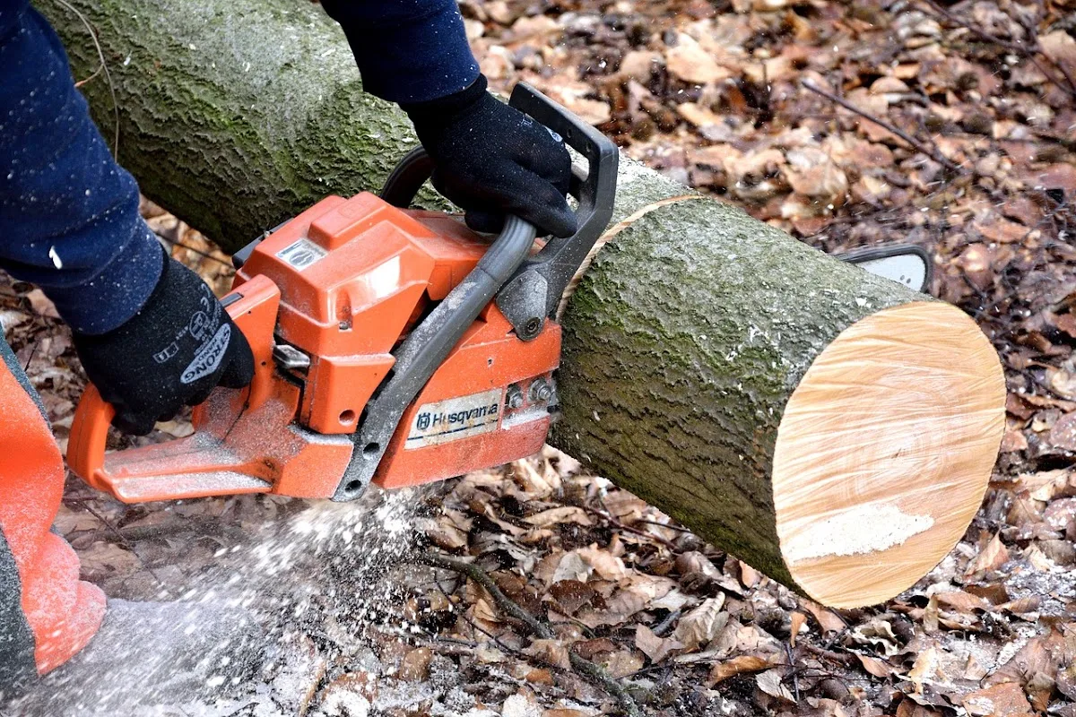 Tree Service & Removal of Mobile