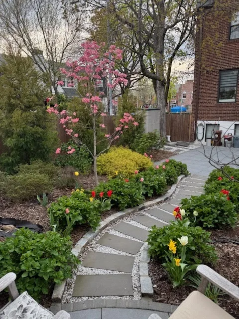 Tree Services Nassau & Queens County NY - Arbor-Pro gallery 2