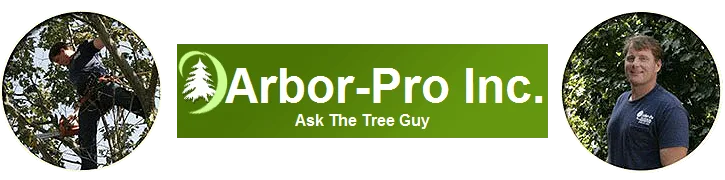 Tree Services Nassau & Queens County NY - Arbor-Pro gallery 3