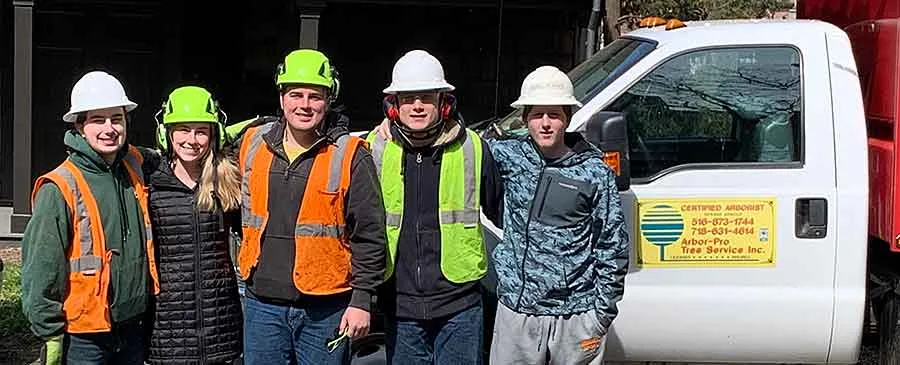 Tree Services Nassau & Queens County NY - Arbor-Pro gallery 7