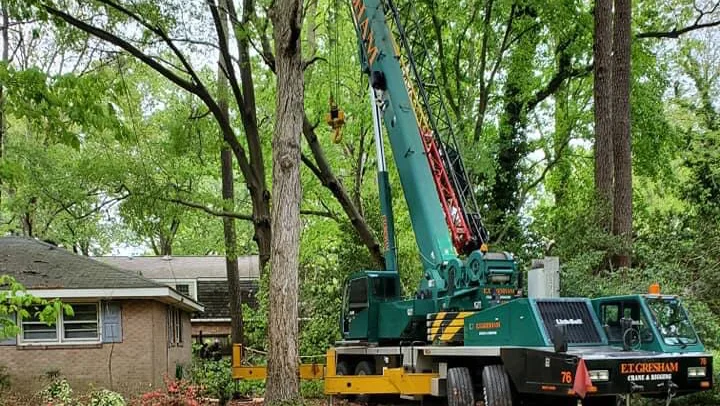 Tree Works, LLC work site